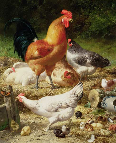 Chickens od Eugène Remy Maes
