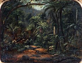 Ferntree Gully in the Dandenong Ranges, 1857 (oil on canvas on cedar panel)