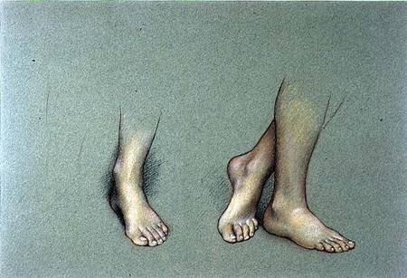 Study of Feet (pastel on paper) od Evelyn de Morgan