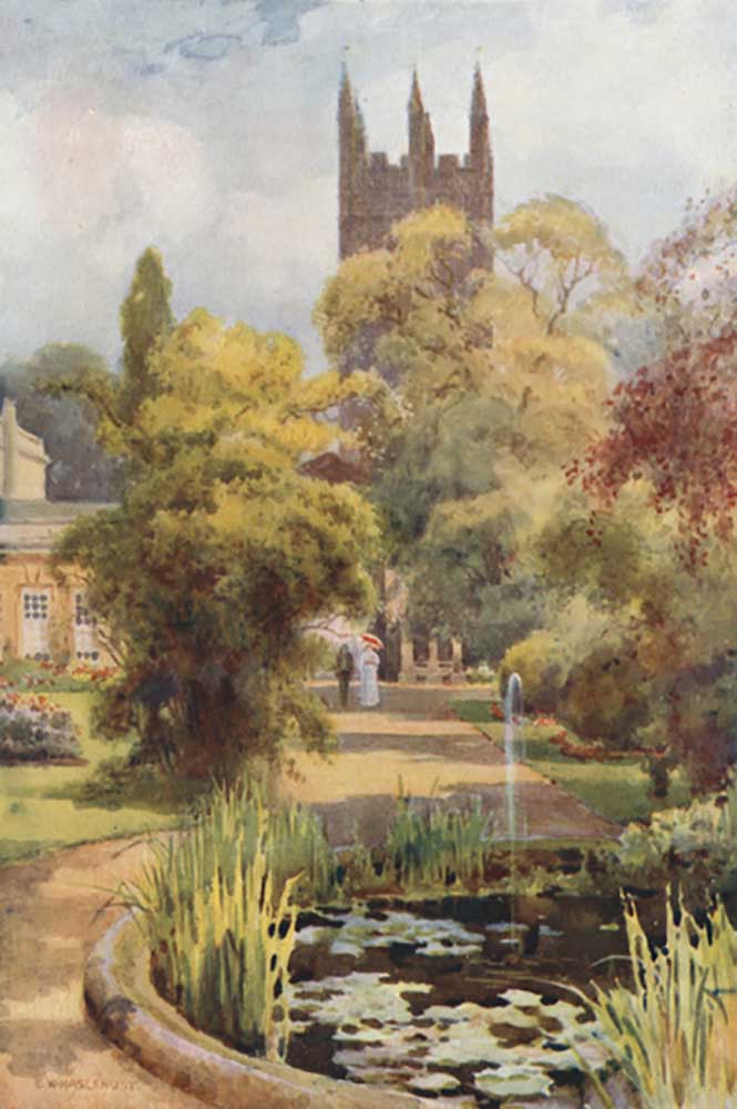 Botanic Gardens and Magdalen Tower od E.W. Haslehust