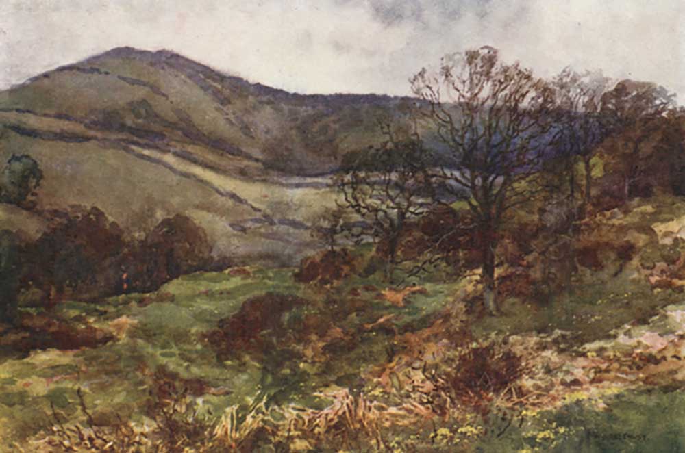Shanklin Down, Early Spring od E.W. Haslehust