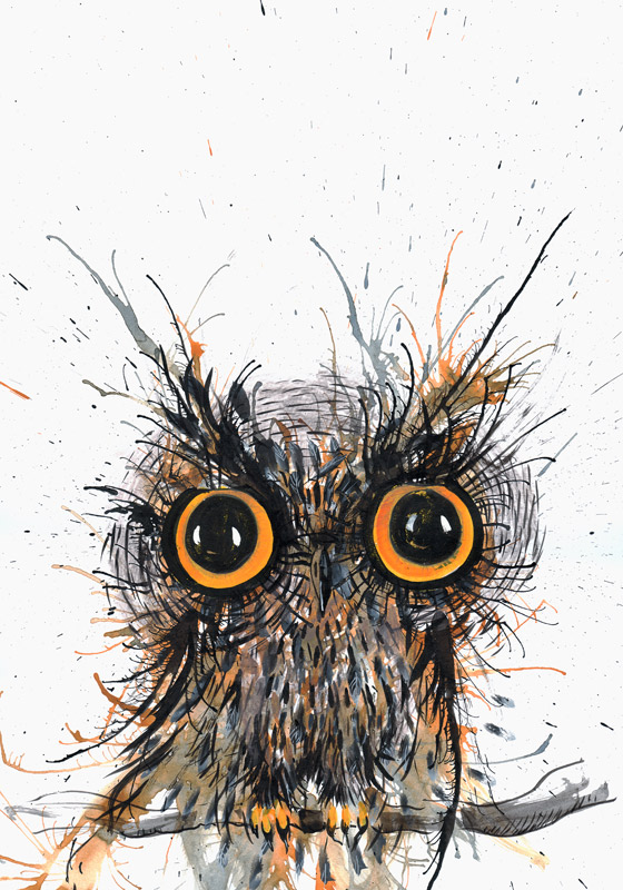 Wide eyed Owl od Faisal Khouja
