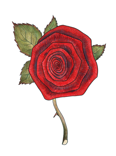 Rose 2 od Faisal Khouja