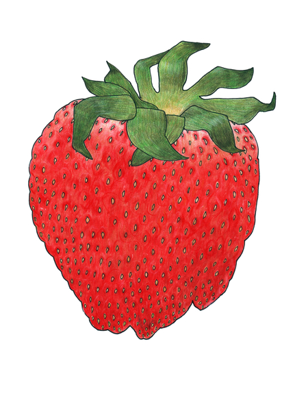 Strawberry 4 od Faisal Khouja