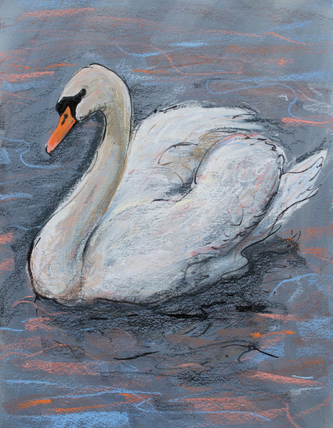 Swan on Lake od Faisal Khouja