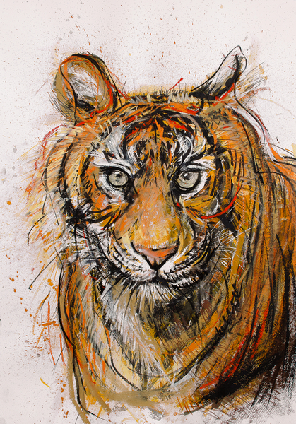 Tiger od Faisal Khouja