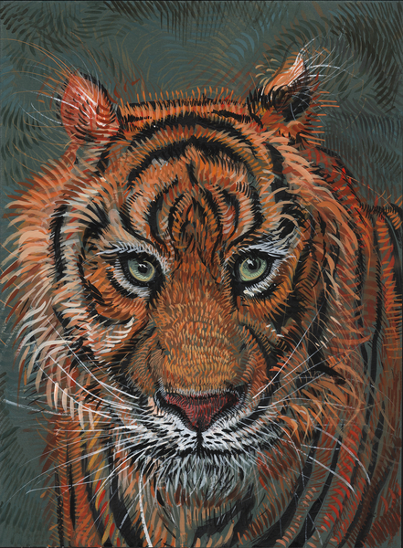 Tiger 2 od Faisal Khouja