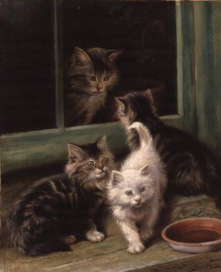 Kittens od Fannie Moody