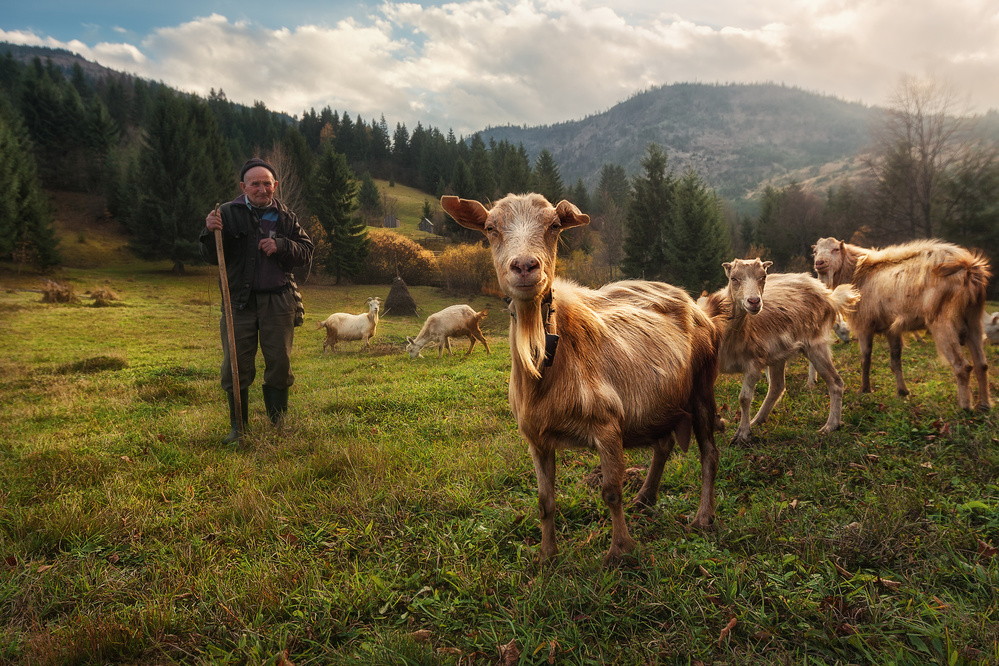 A Day in the Carpathian Mountains od Felipe Souto