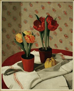 F.Vallotton /Still Life:... Tulips