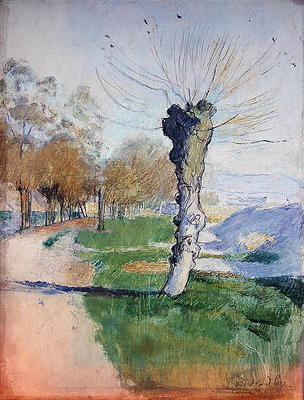 Willow Tree at the Junction, or Willow Tree in Spring, 1884 (oil on canvas) od Ferdinand Hodler