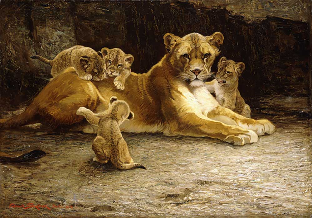 A Lioness with her Cubs, 1913 od Ferdinand Schebek
