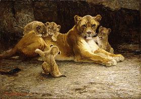 A Lioness with her Cubs, 1913
