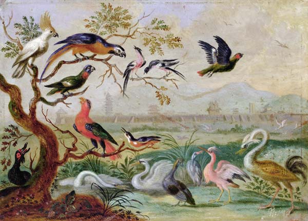 Birds from the Four continents in a landscape with a view of Peking in the background od Ferdinand van Kessel