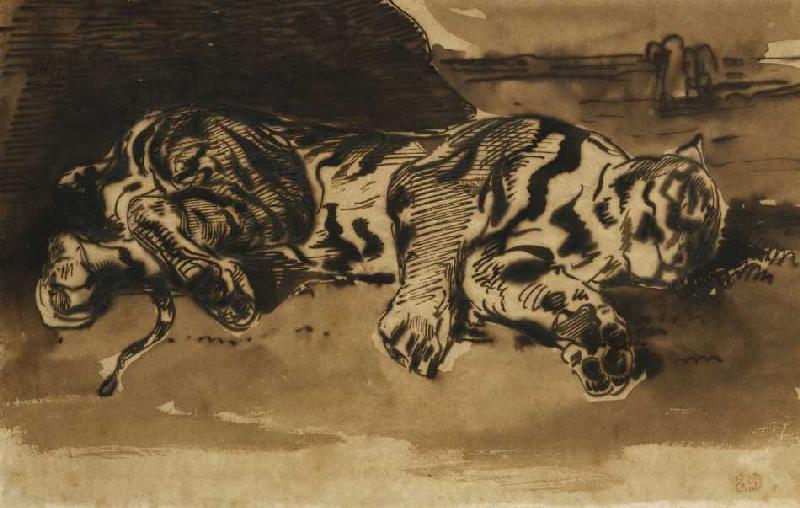 Liegender Tiger (Tigre Couché) od Ferdinand Victor Eugène Delacroix