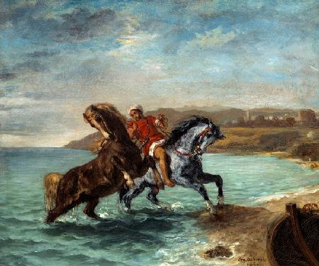 Two horses get out of the sea
