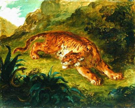 Tiger and Snake od Ferdinand Victor Eugène Delacroix