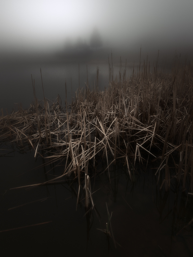 The Mists of Pertüs Lake od Filippo Manini