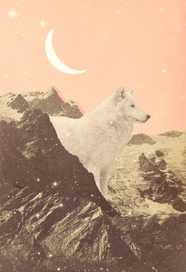 Giant White Wolf In Mountains