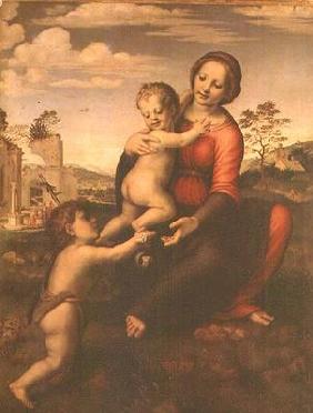 Madonna of the Well or Madonna and Child with the young St. John the Baptist, c.1503-09 (tempera on