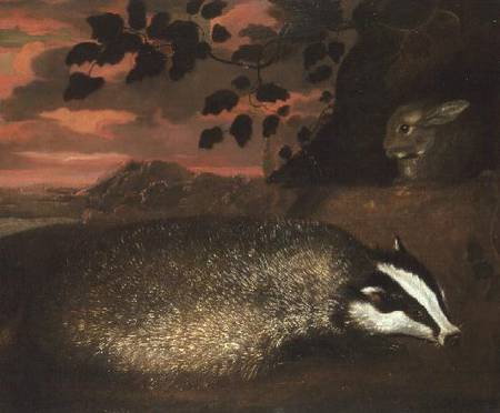 Badger od Francis Barlow