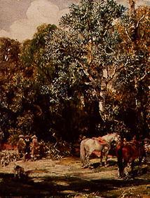 A hold in the timber forest. od Francisco Domingo Marqués