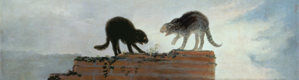 Riña de gatos od Francisco José de Goya