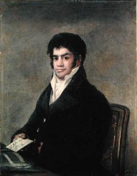 Portrait of Don Francisco del Mazo