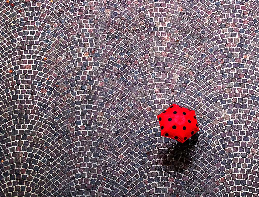 urban ladybug od Franco Maffei