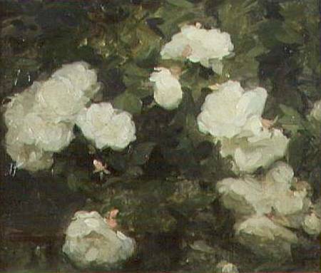 White Roses od Frank Bramley
