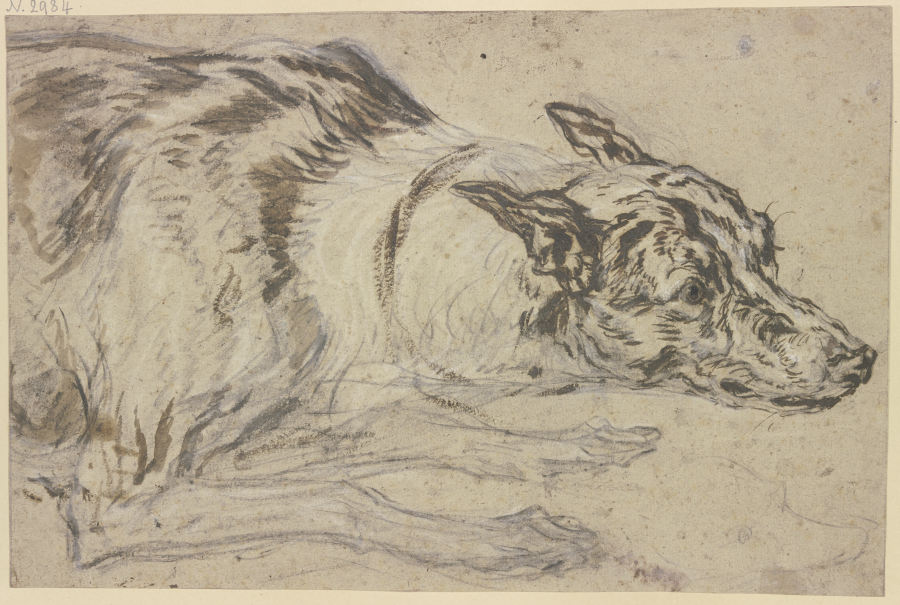 Gefleckter Hundekopf mit Vorderpfoten od Frans Snyders
