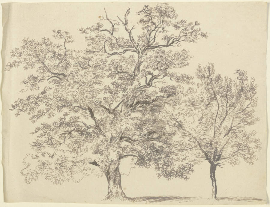 Ein alter und ein junger Baum od Franz Innocenz Josef Kobell