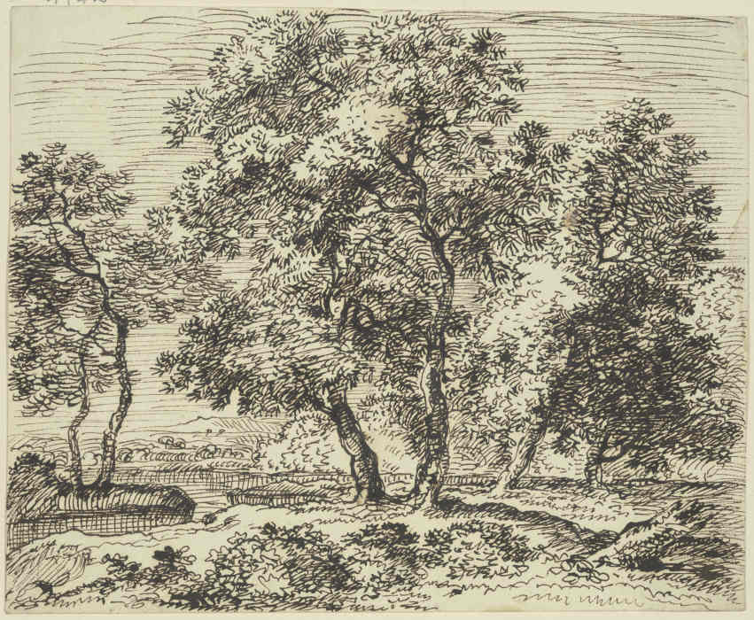 High grove of trees od Franz Innocenz Josef Kobell