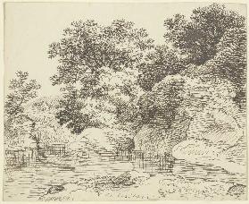 Embankment with trees