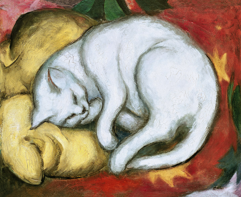 Tomcat on a yellow cushion od Franz Marc