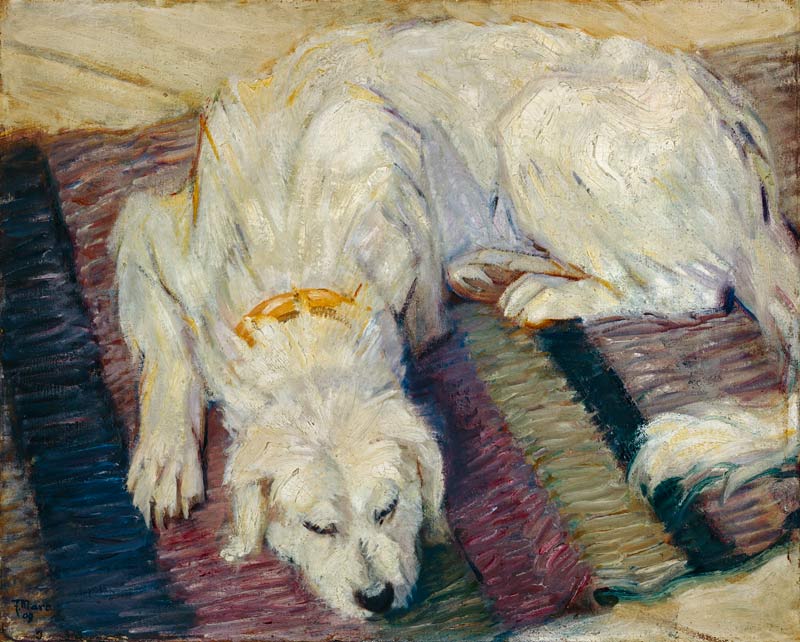 Lying dog (dog portrait) od Franz Marc