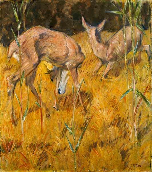 Deer in the reed od Franz Marc
