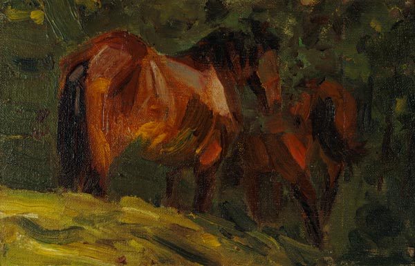 Little horse study I. od Franz Marc