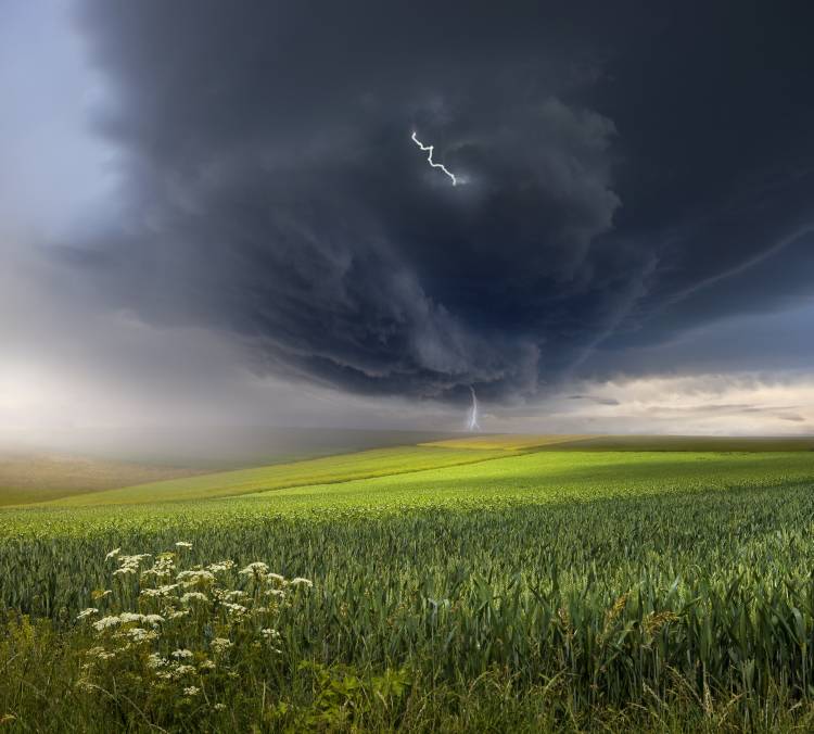 June storm od Franz Schumacher