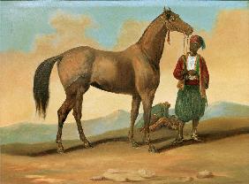 Bedouin with Arab Horse