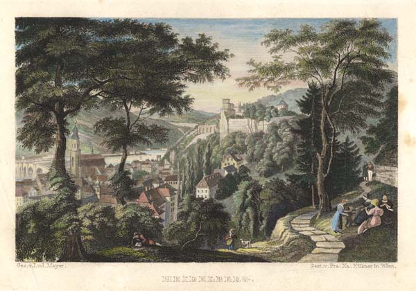 Heidelberg , View from the West od Franz Xaver Eisner