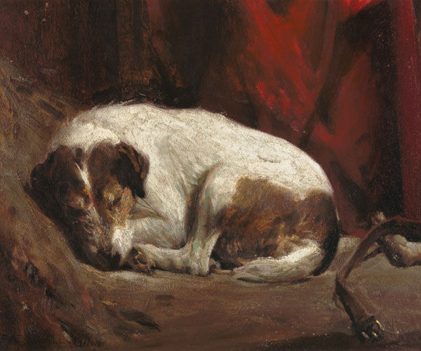 A Sleeping Fox Terrier, 1911 (board) od Fred Hall