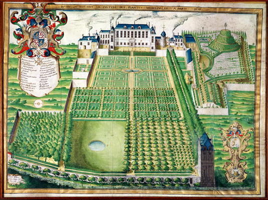 The King's Medicinal Plant Garden, 1636 (engraving on vellum) od Frederic Scalberge