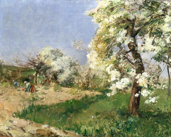 Pear Blossoms, Villiers-de-Bel od Frederick Childe Hassam