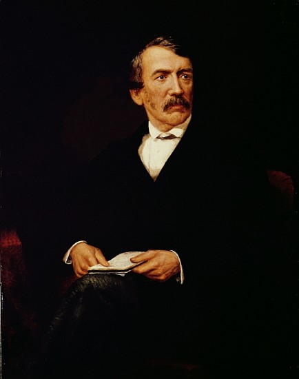 Portrait of Livingstone (1813-1873) od Frederick Havill