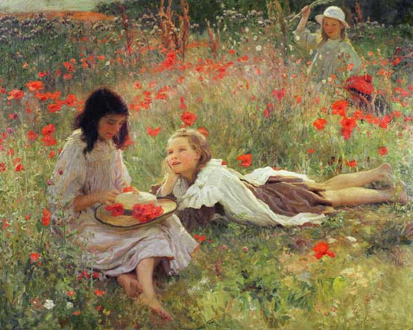 Poppies, c.1909  od Frederick Stead