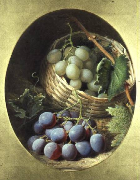 Red and White Grapes od Frederick T. Bayes