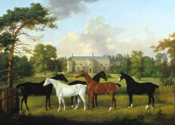 Five racehorses in front of an English country house. od Frederick W. Keyl