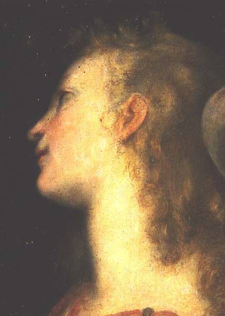 Head of an Angel od Frederico (Fiori) Barocci