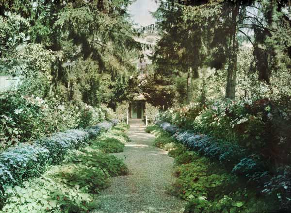 Path in Monet's Garden at Giverny, early 1920s (photo) od French Photographer, (20th century)